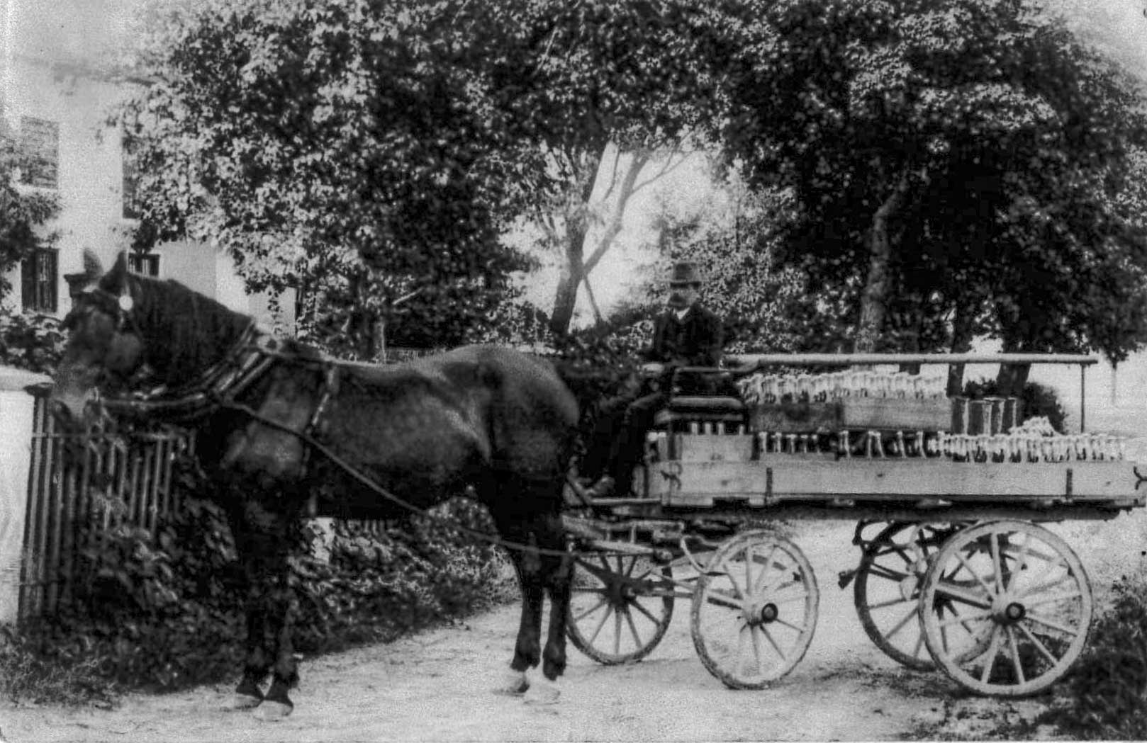 Bäckerei Polz